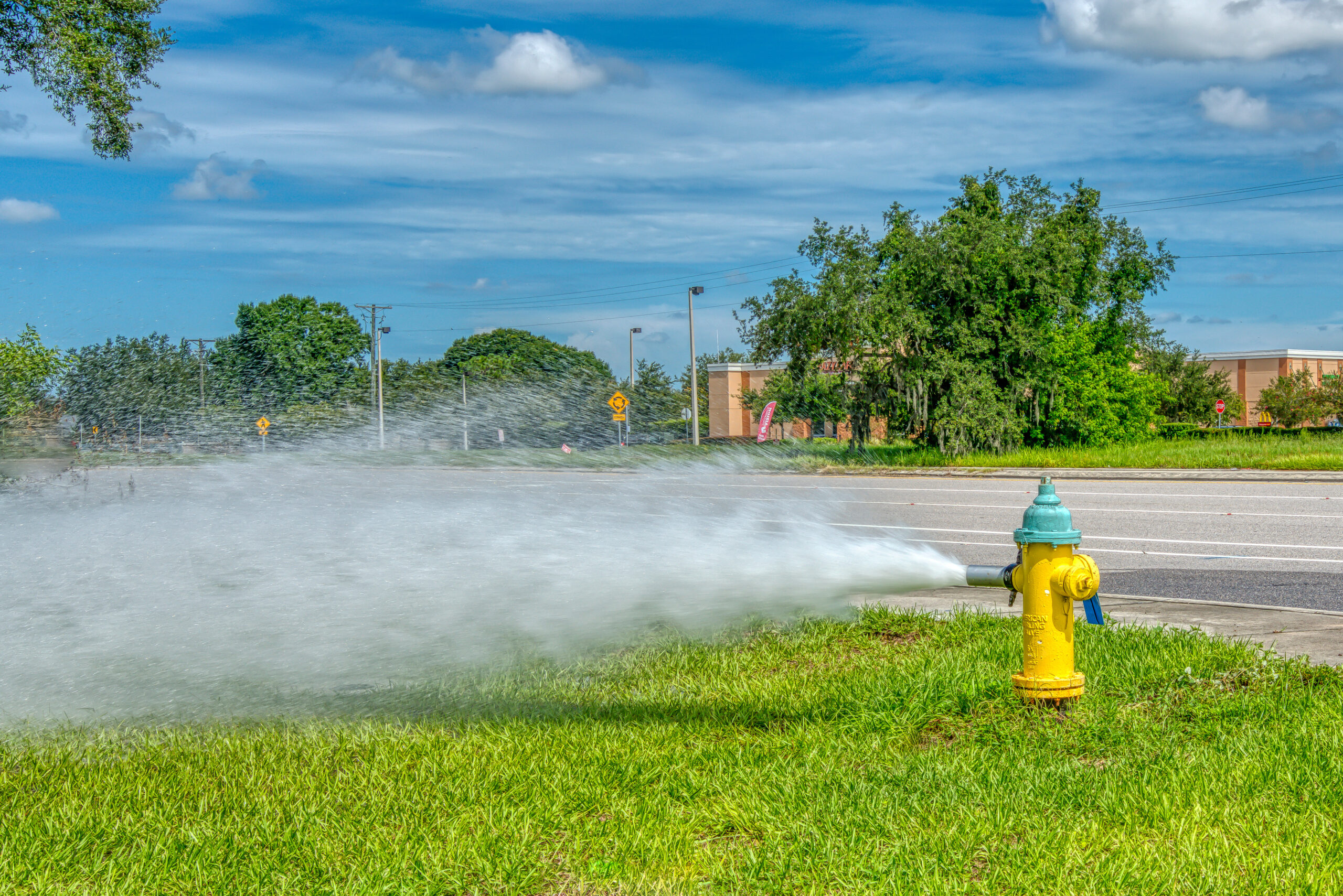 image of fire hydrant gushing water